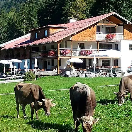 Berggasthof Riefenkopf *